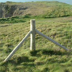 Stock Fencing, St David's